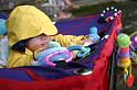 Picture 7236